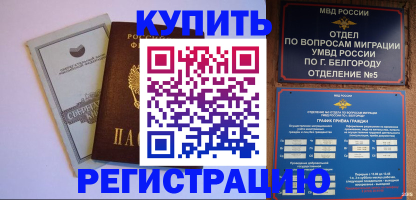 временная прописка в Дубне